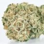 Yieldmonger Seeds Bear Gorilla Smoke Buds Weed Ganja Skunk Dope Pot Images Pics Nuggets