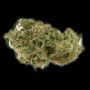 Big Bud Auto Feminized by Fast Buds THC Content Potency Strength CBD Height Yield Flowering Time Indica Sativa Genetics
