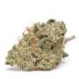 Growers Choice Cannabis Strain Cinderella 99 Auto Feminized Marijuana Seeds Original Collector Souvenir Authentic Packaging Pack