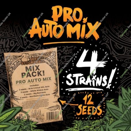Pro Resin Sativa USA XL Mix Marijuana Strain by Seed Stockers For Sale Online at Cannabis Seeds Outlet