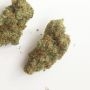 BSB Genetics Banana Split Auto Smoke Buds Weed Ganja Skunk Dope Pot Images Pics Nuggets