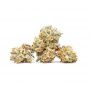 BSB Genetics Five Alive Smoke Buds Weed Ganja Skunk Dope Pot Images Pics Nuggets