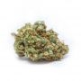 Cannabis Seeds Outlet Weed Strain Euforia Feminized Marijuana Seeds Original Collector Souvenir Authentic Packaging Packs
