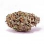 Blim Burn Kyles Skywalker OG Smoke Buds Weed Ganja Skunk Dope Pot Images Pics Nuggets