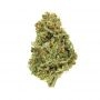 Buddha Seeds Amnesia Smoke Buds Weed Ganja Skunk Dope Pot Images Pics Nuggets
