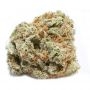 Buddha Seeds Critical Auto Smoke Buds Weed Ganja Skunk Dope Pot Images Pics Nuggets