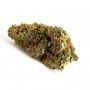 Buddha Seeds Skunk Auto Smoke Buds Weed Ganja Skunk Dope Pot Images Pics Nuggets