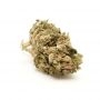 Buddha Seeds White Widow Auto Smoke Buds Weed Ganja Skunk Dope Pot Images Pics Nuggets