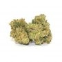 OO Seeds OO Kush Fast V Smoke Buds Weed Ganja Skunk Dope Pot Images Pics Nuggets