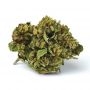 OO Seeds Blueberry Fast V Smoke Buds Weed Ganja Skunk Dope Pot Images Pics Nuggets