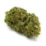 Seed Stockers Bruce Banner Auto Smoke Buds Weed Ganja Skunk Dope Pot Images Pics Nuggets