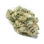 Seed Stockers Gorilla Zerodue CBG Auto Smoke Buds Weed Ganja Skunk Dope Pot Images Pics Nuggets