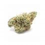 Sumo Seeds OG Kush 11 CBD Smoke Buds Weed Ganja Skunk Dope Pot Images Pics Nuggets