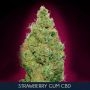 Strawberry Gum CBD Feminized Marijuana Strain by Advanced Seeds For Sale Online at Cannabis Seeds Outlet