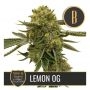 Nikki & Swamis Lemon OG Feminized Marijuana Strain by Blim Burn For Sale Online at Cannabis Seeds Outlet