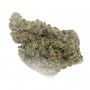 Biscotti Mintz Feminized by Barneys Farm THC Content Potency Strength CBD Height Yield Flowering Time Indica Sativa Genetics