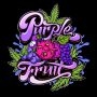 Purple Fruit Feminized Marijuana Strain by Sumo Seeds For Sale Online at Cannabis Seeds Outlet