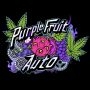 Purple Fruit Auto Feminized Marijuana Strain by Sumo Seeds For Sale Online at Cannabis Seeds Outlet
