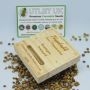 Humboldt Seed Organisation Cannabis Strain Cinnamon Buddha OG Marijuana Seeds Original Collector Souvenir Authentic Packaging Pa