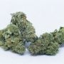 Humboldt Seed Organisation Ice Cream Cake Fast Smoke Buds Weed Ganja Skunk Dope Pot Images Pics Nuggets