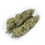 Humboldt Seed Company OG Kush Auto Smoke Buds Weed Ganja Skunk Dope Pot Images Pics Nuggets