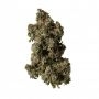 Humboldt Seed Organisation White Runtz Fast V Smoke Buds Weed Ganja Skunk Dope Pot Images Pics Nuggets