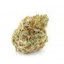 Penthouse Seeds Pink Gelati Auto Smoke Buds Weed Ganja Skunk Dope Pot Images Pics Nuggets