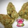 TasteBudz Cannacotta Smoke Buds Weed Ganja Skunk Dope Pot Images Pics Nuggets