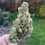 TasteBudz Reefereshers Smoke Buds Weed Ganja Skunk Dope Pot Images Pics Nuggets