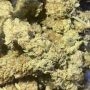 Greenhouse Seeds Holy Snow Smoke Buds Weed Ganja Skunk Dope Pot Images Pics Nuggets
