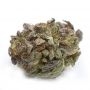 Big Head Seeds Trippy Pebbles Smoke Buds Weed Ganja Skunk Dope Pot Images Pics Nuggets