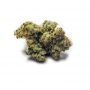 Big Buddha Seeds Buddhalato Smoke Buds Weed Ganja Skunk Dope Pot Images Pics Nuggets