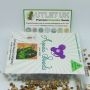Anesia Seeds Cannabis Strain IMPERIUM X Auto Feminized Marijuana Seeds Original Collector Souvenir Authentic Packaging Packs