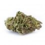 Greenhouse Seeds Ztrawberry Smoke Buds Weed Ganja Skunk Dope Pot Images Pics Nuggets