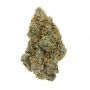 Brothers Grimm Seeds Apollo Haze Smoke Buds Weed Ganja Skunk Dope Pot Images Pics Nuggets