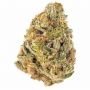 Brothers Grimm Seeds Killer Queen Smoke Buds Weed Ganja Skunk Dope Pot Images Pics Nuggets