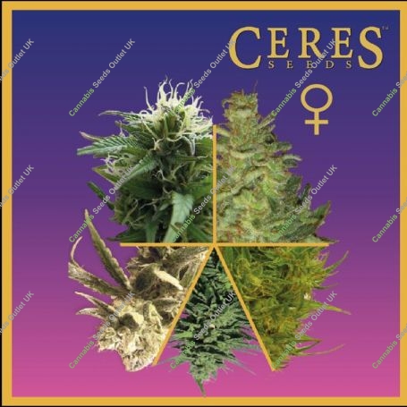 Mix Feminized Marijuana Strain by Ceres Seeds For Sale Online at Cannabis Seeds Outlet