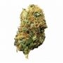 Ceres Seeds Skunk Smoke Buds Weed Ganja Skunk Dope Pot Images Pics Nuggets