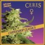 Skunk Haze Feminized Marijuana Strain by Ceres Seeds For Sale Online at Cannabis Seeds Outlet