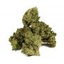 Dark Horse Genetics Brazilian Bombshell Smoke Buds Weed Ganja Skunk Dope Pot Images Pics Nuggets
