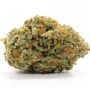 Dark Horse Genetics Lemon Drop Cookies Smoke Buds Weed Ganja Skunk Dope Pot Images Pics Nuggets