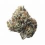 Dark Horse Genetics Mr. Zoftee Smoke Buds Weed Ganja Skunk Dope Pot Images Pics Nuggets