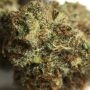 Dark Horse Genetics Party Monzter Smoke Buds Weed Ganja Skunk Dope Pot Images Pics Nuggets