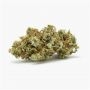 Dark Horse Genetics Strawberry Glue Smoke Buds Weed Ganja Skunk Dope Pot Images Pics Nuggets