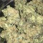 Dready Seeds Mango Jack Smoke Buds Weed Ganja Skunk Dope Pot Images Pics Nuggets