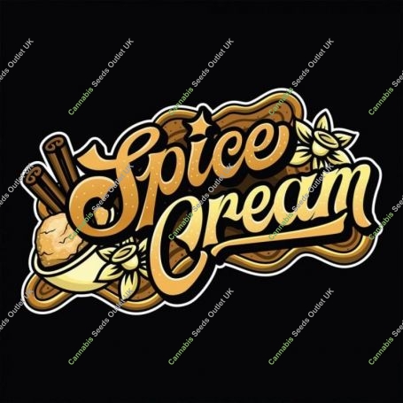 Spice Cream Regular Marijuana Strain by Emerald Mountain Legacy For Sale Online at Cannabis Seeds Outlet