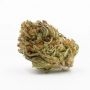 Fidels Seed Company Peach Tart Smoke Buds Weed Ganja Skunk Dope Pot Images Pics Nuggets