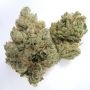 Garden Ablaze Seeds Twizz-LA Smoke Buds Weed Ganja Skunk Dope Pot Images Pics Nuggets