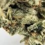 John Sinclair Seeds Amsterdam Skunk Smoke Buds Weed Ganja Skunk Dope Pot Images Pics Nuggets
