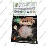 John Sinclair Seeds Cannabis Strain Trans Love Regular Marijuana Seeds Original Collector Souvenir Authentic Packaging Packs